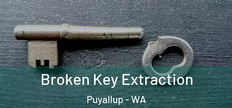  Broken Key Extraction Puyallup - WA