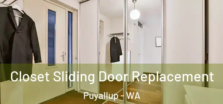  Closet Sliding Door Replacement Puyallup - WA