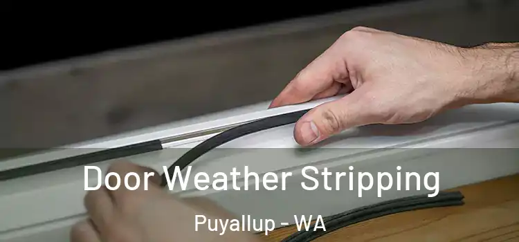 Door Weather Stripping Puyallup - WA