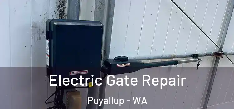 Electric Gate Repair Puyallup - WA