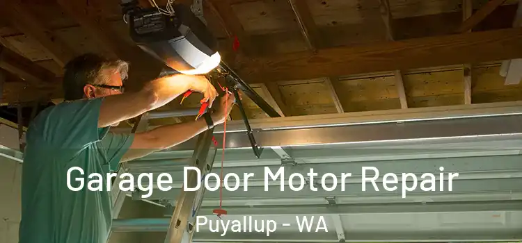  Garage Door Motor Repair Puyallup - WA