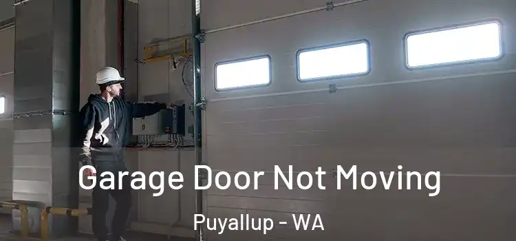  Garage Door Not Moving Puyallup - WA