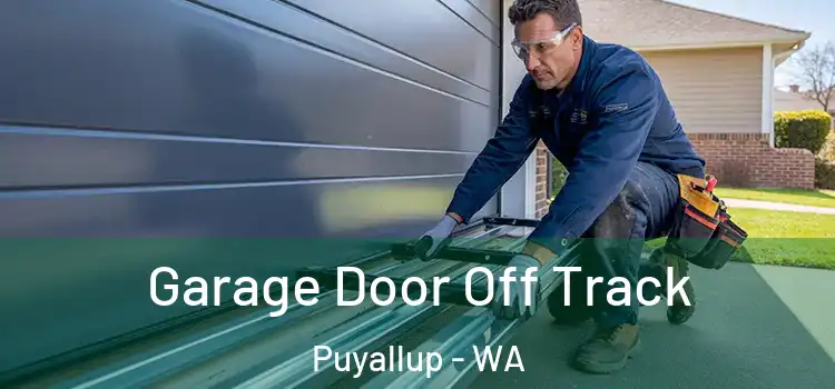  Garage Door Off Track Puyallup - WA