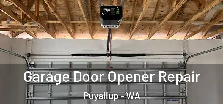  Garage Door Opener Repair Puyallup - WA