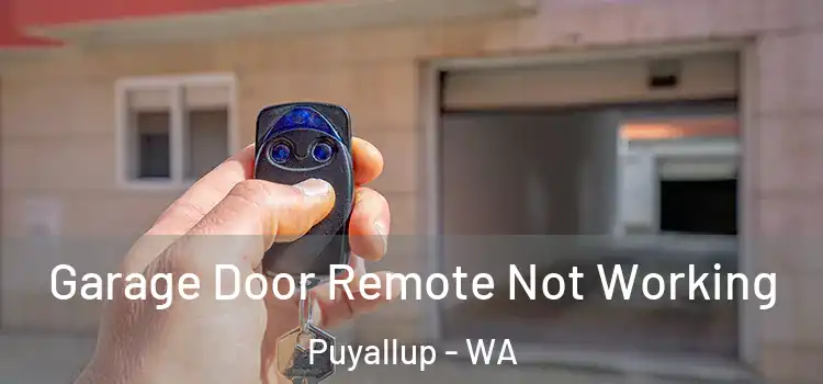  Garage Door Remote Not Working Puyallup - WA