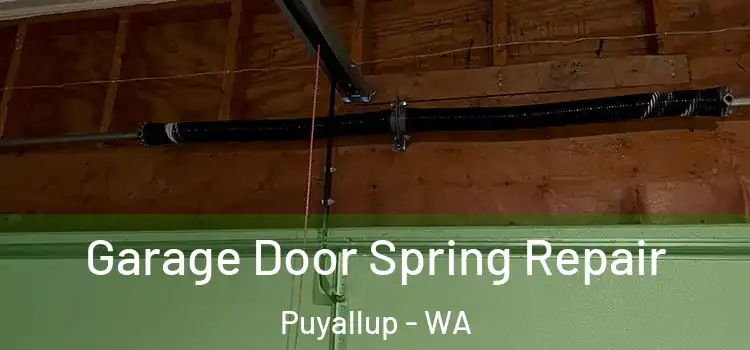  Garage Door Spring Repair Puyallup - WA