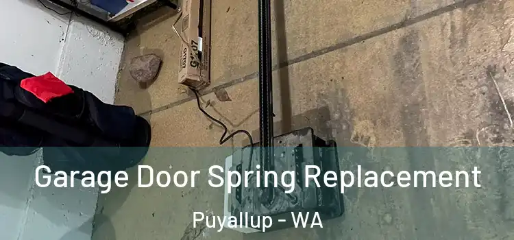  Garage Door Spring Replacement Puyallup - WA