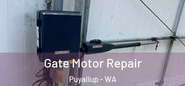 Gate Motor Repair Puyallup - WA