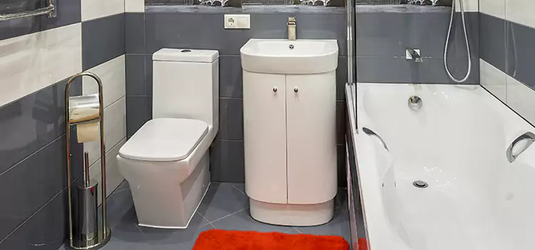 Hansgrohe Shaving Mirror Puyallup