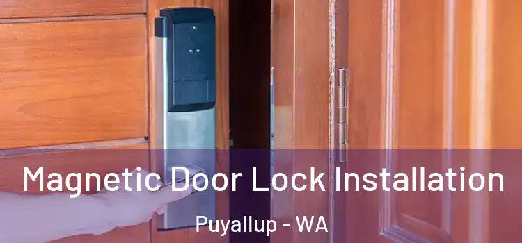  Magnetic Door Lock Installation Puyallup - WA