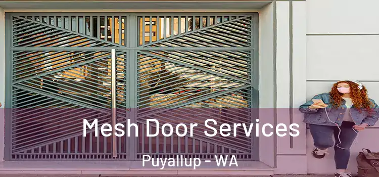 Mesh Door Services Puyallup - WA