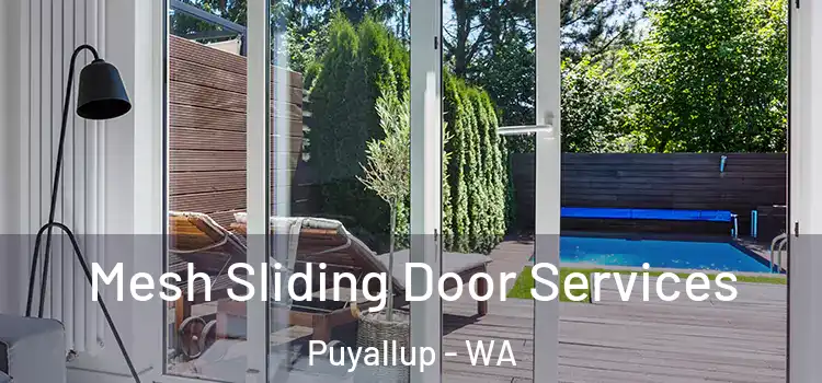  Mesh Sliding Door Services Puyallup - WA