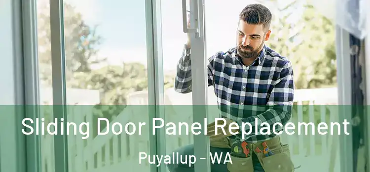  Sliding Door Panel Replacement Puyallup - WA
