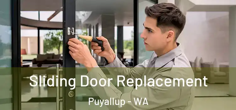  Sliding Door Replacement Puyallup - WA