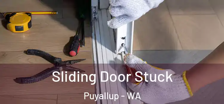  Sliding Door Stuck Puyallup - WA