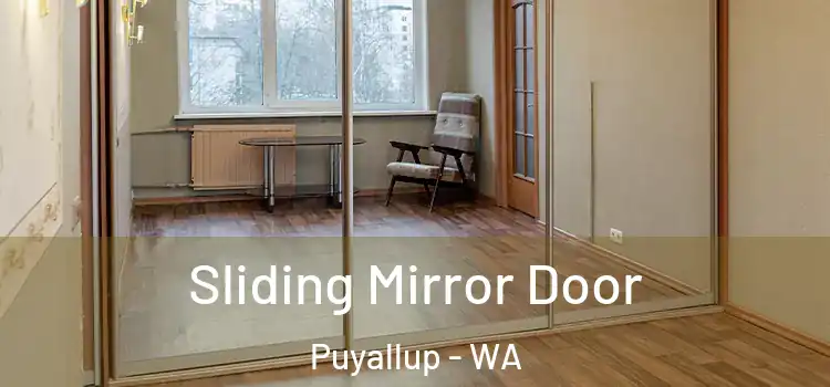  Sliding Mirror Door Puyallup - WA